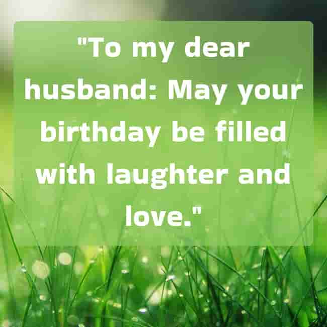 Wishing Wonderful Birthday Quotes Husband